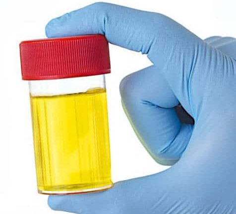 حقایق ادرار