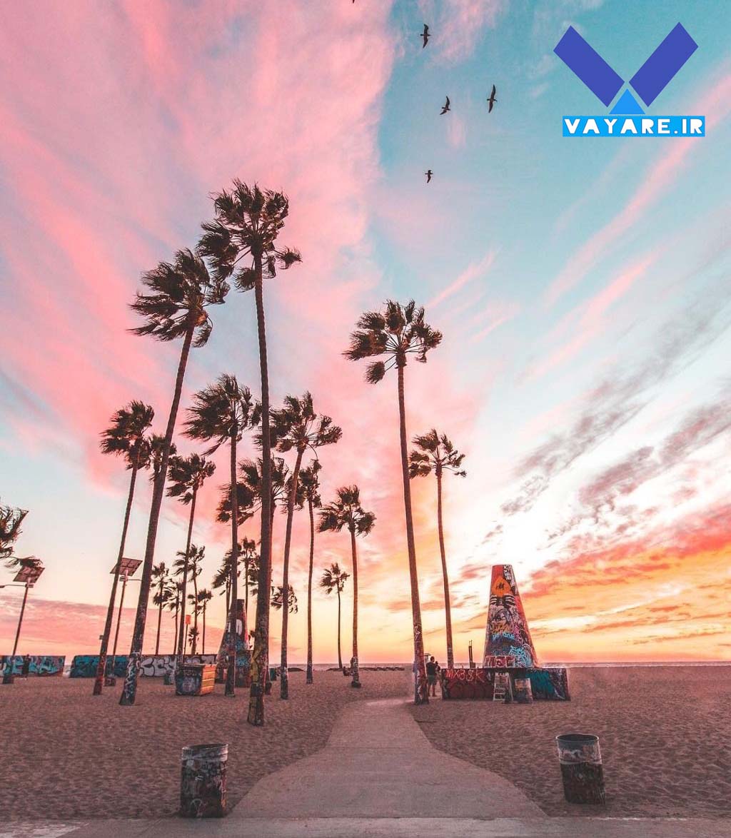 حقایق و دانستنی های فوق العاده در مورد کالیفرنیا 