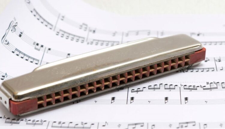 آیا برای کلاس سازدهنی در تهران به دنبال آموزشگاه هستید ؟